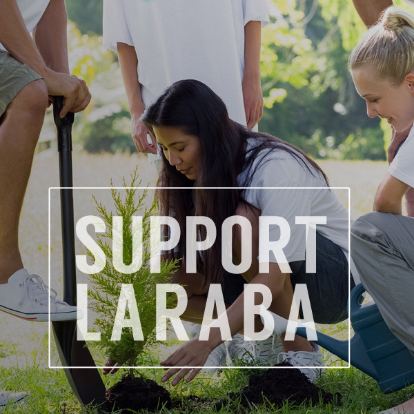 Woman planting a tree. White text reads "Support LARABA" and links to a donation page